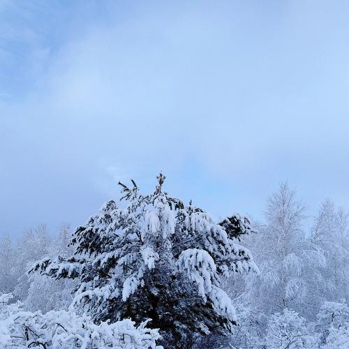 Photo #4284301