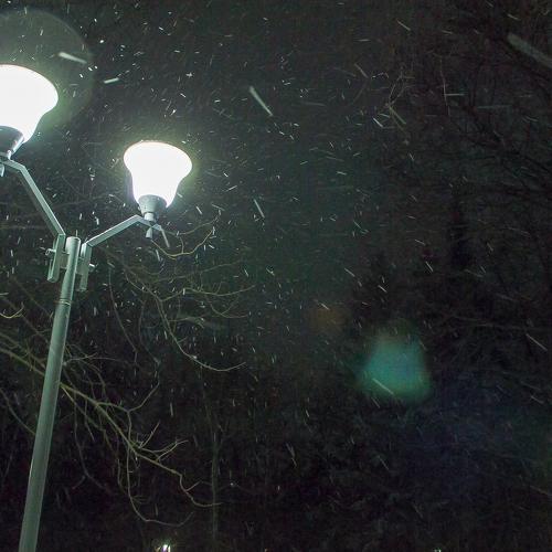 Photo #4284329