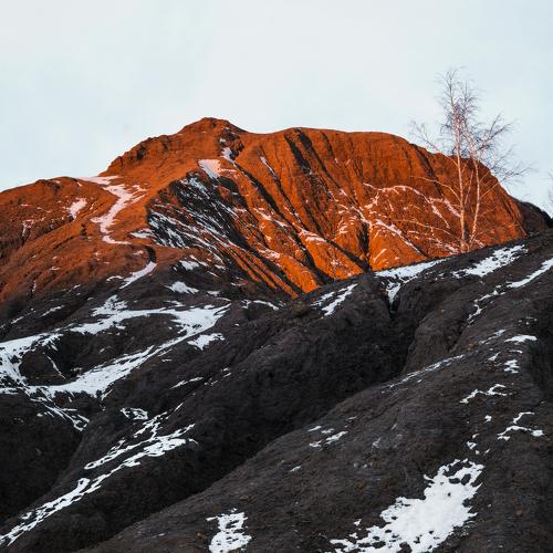 Photo #4284519