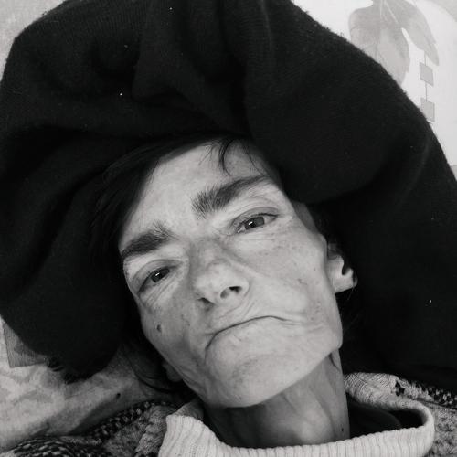Photo #4284542