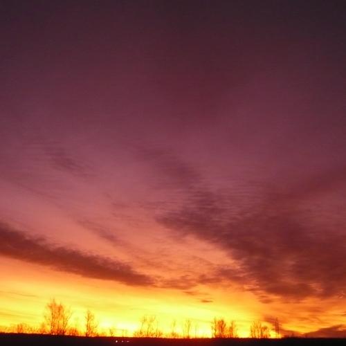 Photo #4284688