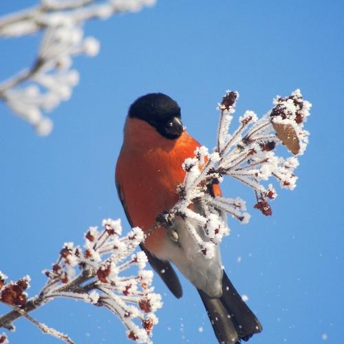 Photo #4284918