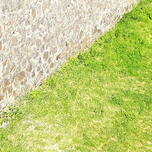 Photo #4285220