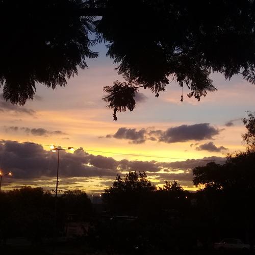 Photo #4285318