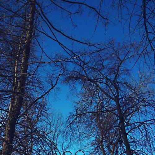 Photo #4286036