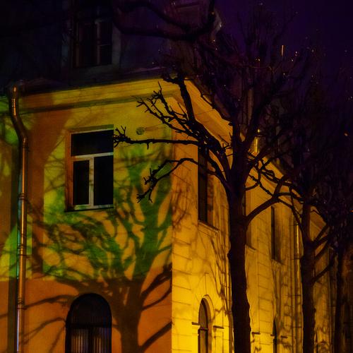 Photo #4287180