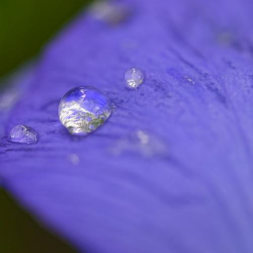 Photo #4287198
