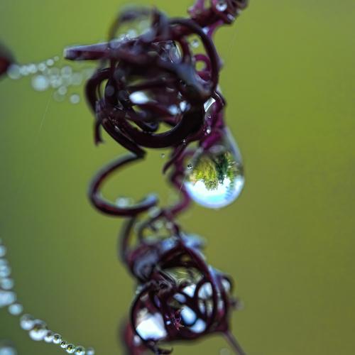 Photo #4287199
