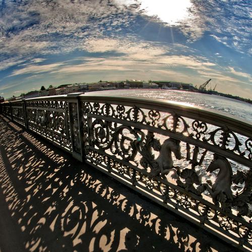 Photo #4287204