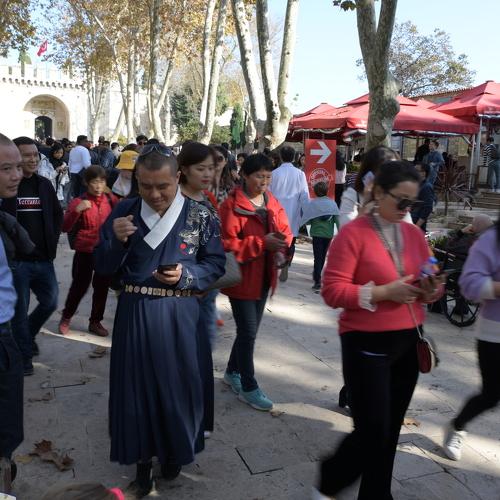 Photo #4287267