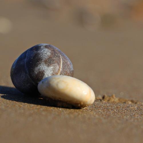 Photo #4287946
