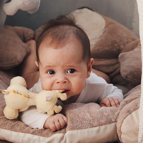 Photo #4288448