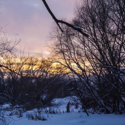 Photo #4288595