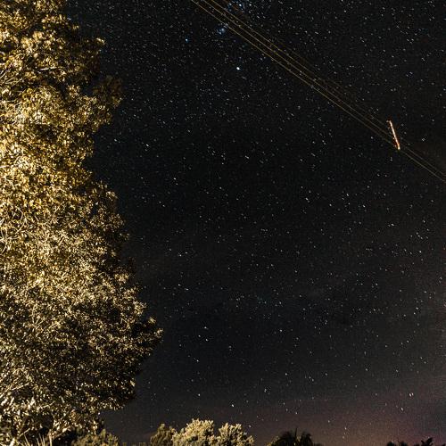 Photo #4289009