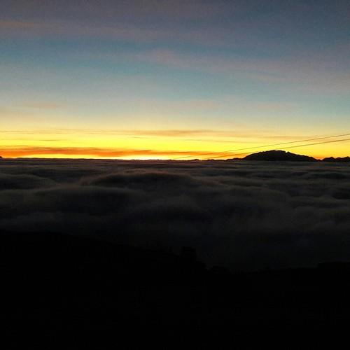 Photo #4289077