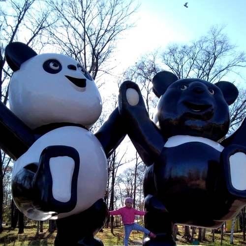 Photo #4289419