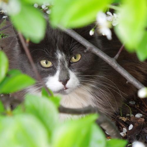 Photo #4289465