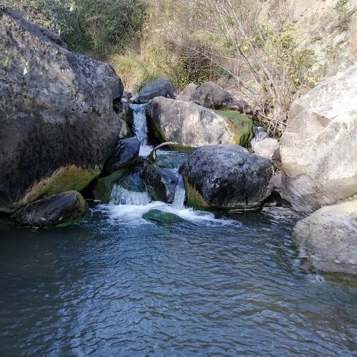 Photo #4289494