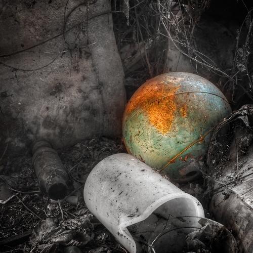 Photo #4289912