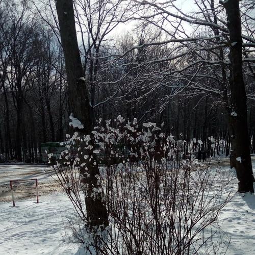 Photo #4290225