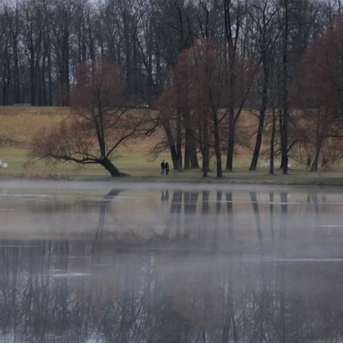 Photo #4290427