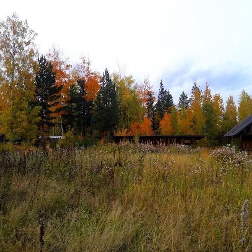 Photo #4291348