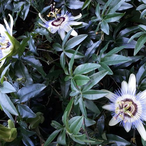 Photo #4291535