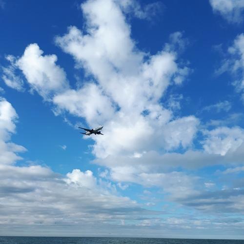 Photo #4291583