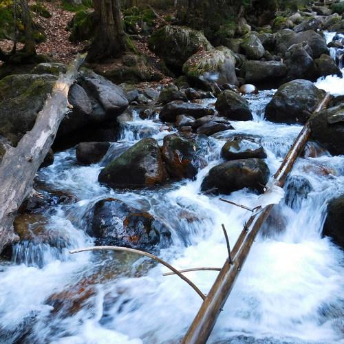 Photo #4291590