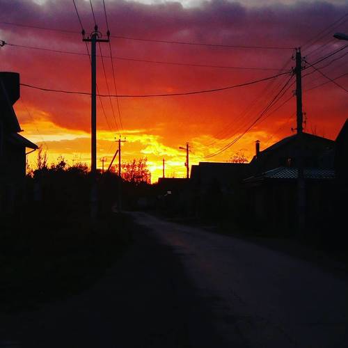 Photo #4291709