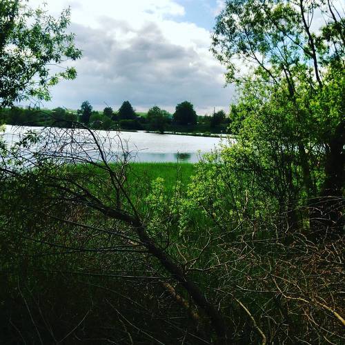 Photo #4291717