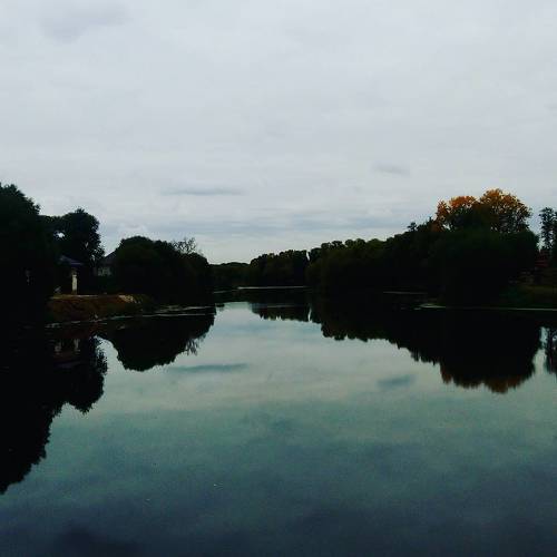 Photo #4291784