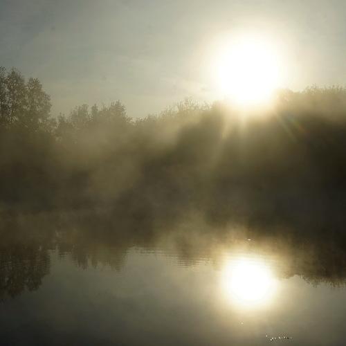 Photo #4291884