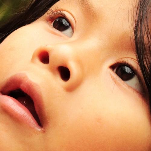 Photo #4291925