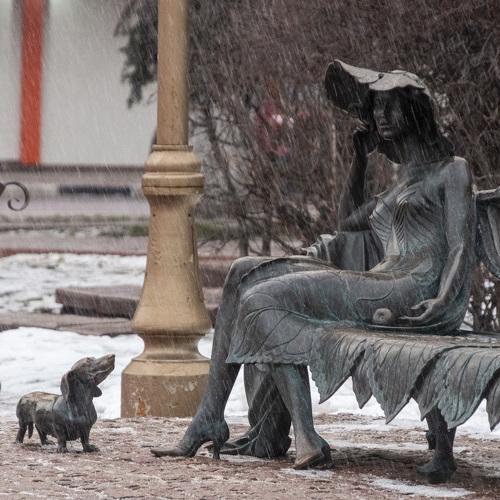 Photo #4292298