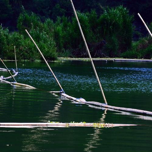 Photo #4292664