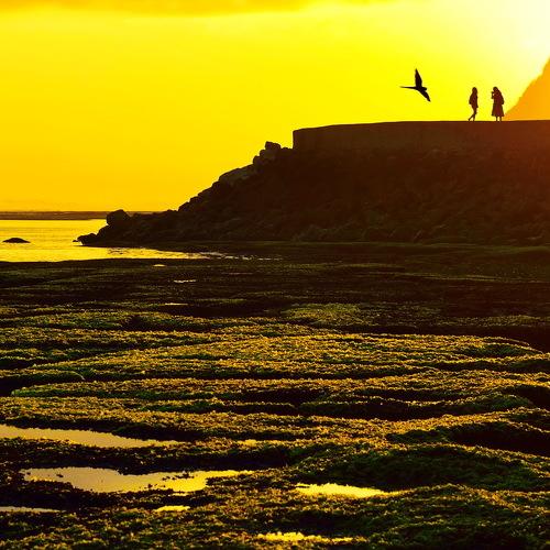 Photo #4292692