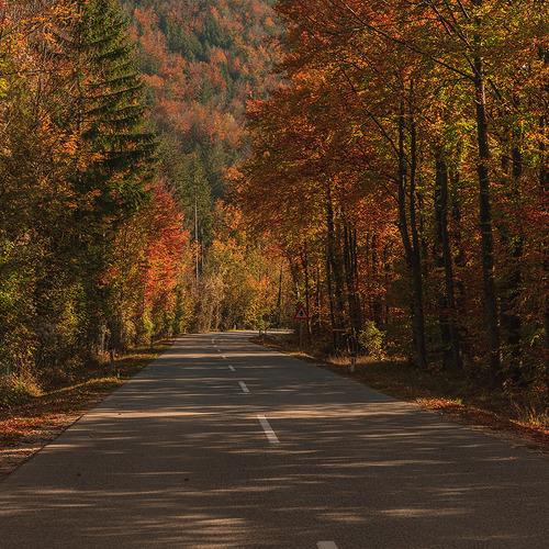 Photo #4293126