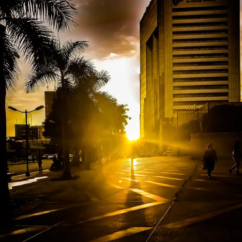 Photo #4293244