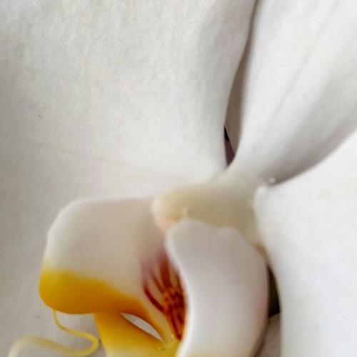 Photo #4293436