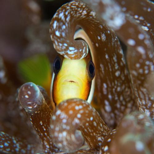 Photo #4293564