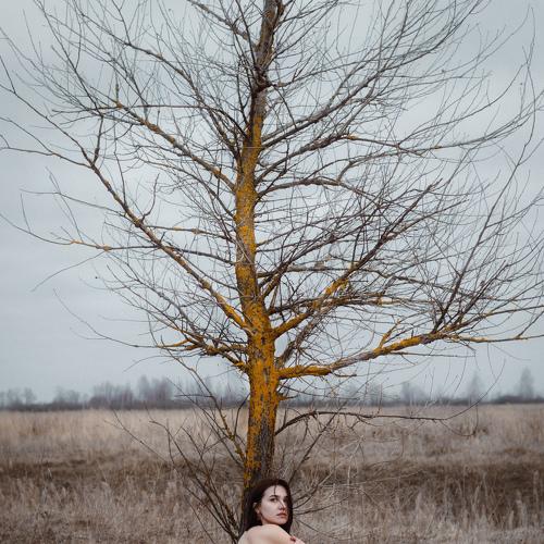Photo #4293718
