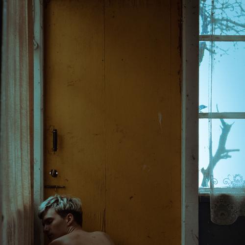 Photo #4293740