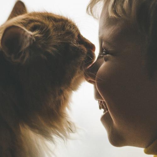 Photo #4294053