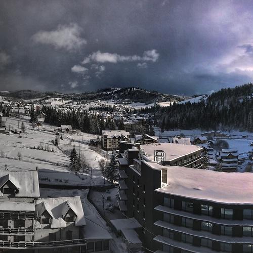 Photo #4294064