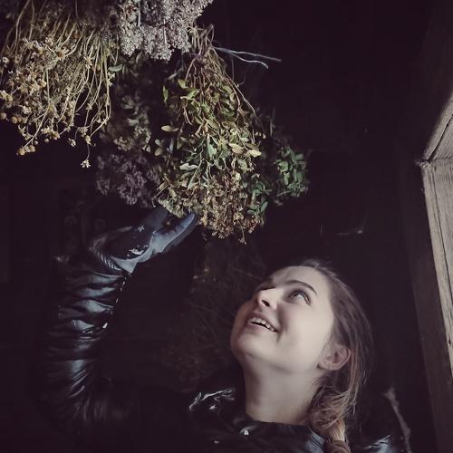 Photo #4294168
