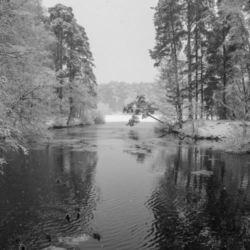 Photo #4294314