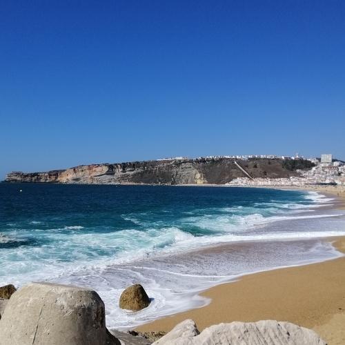 Photo #4294324