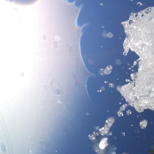 Photo #4294388