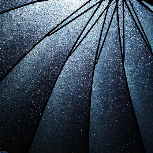 Photo #4295030